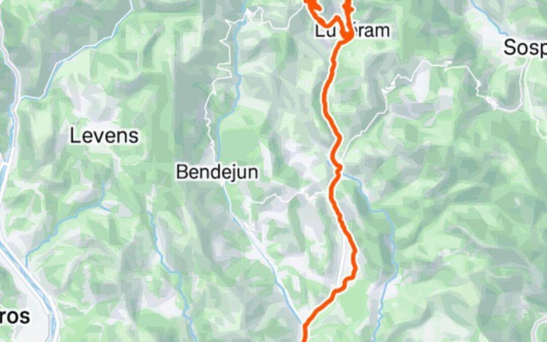 Turini